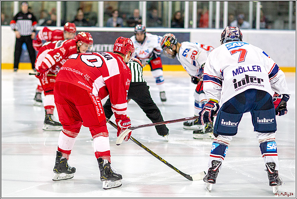 DNL-Playofffinale; Junghaie Koeln - Jungadler Mannheim, 20.03.2019